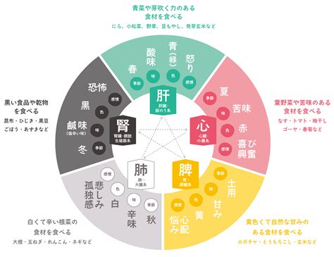 五腑|五臓六腑について【わかりやすく解説】 